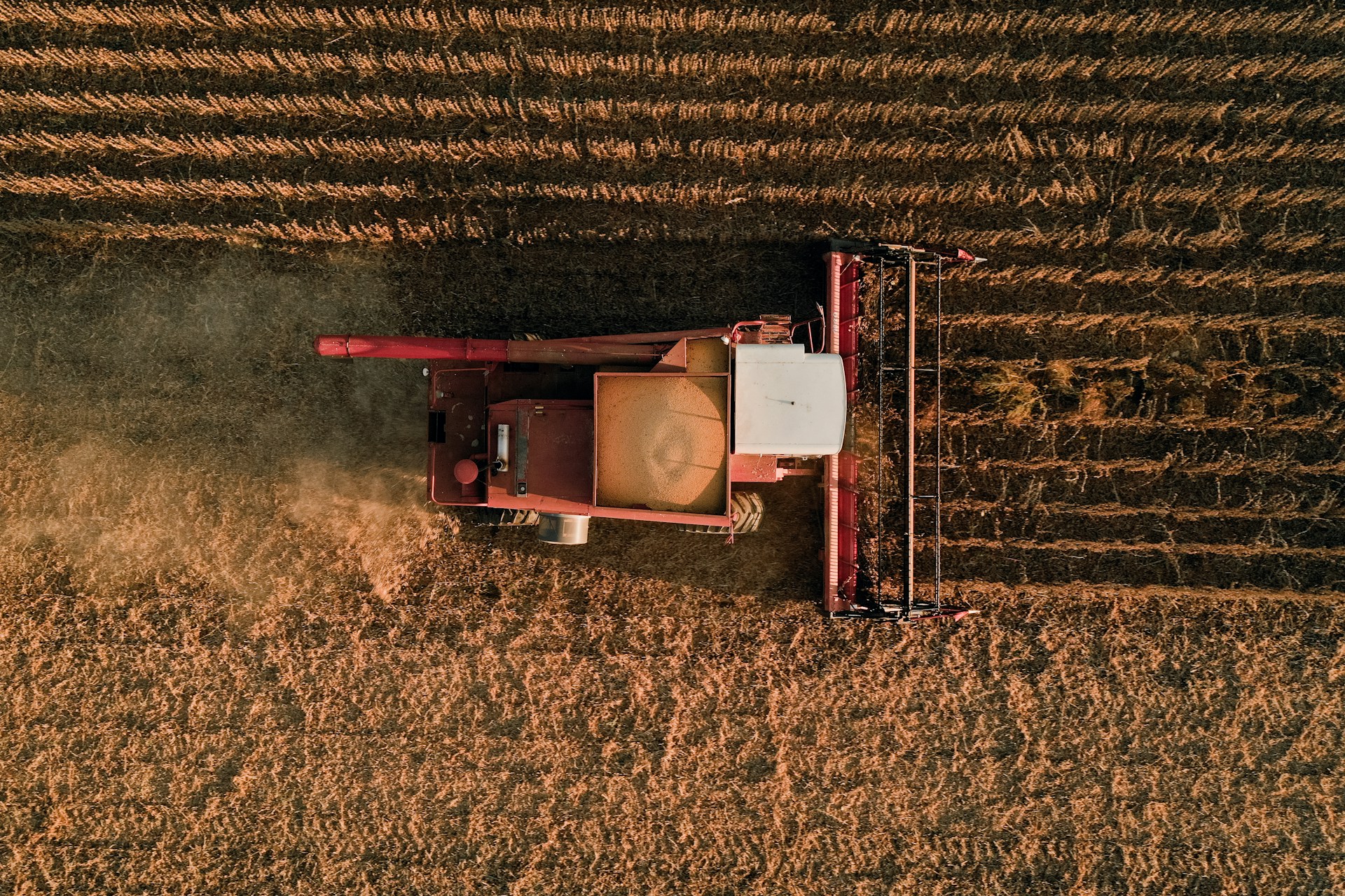 Agriculture & Forestry_image
