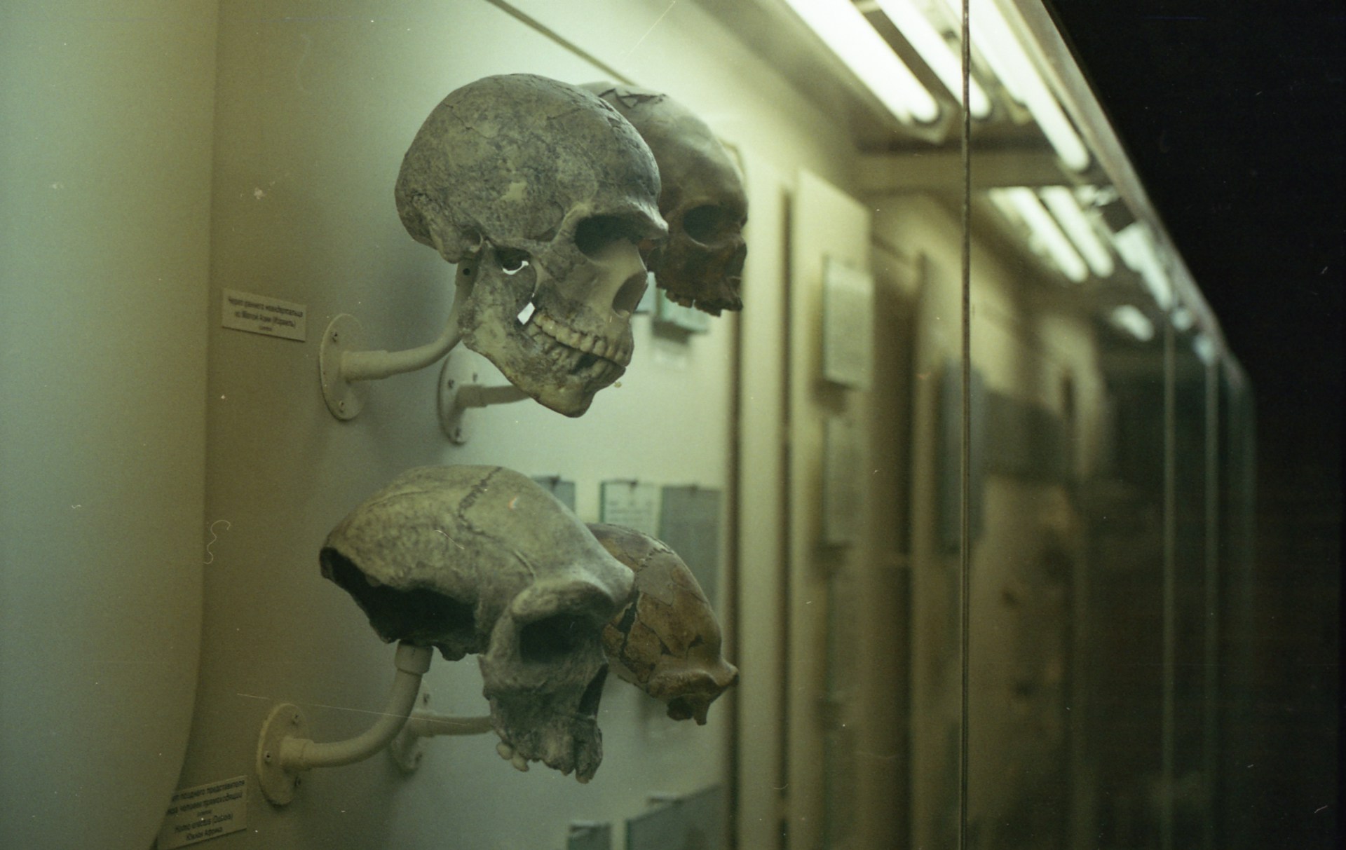 History & Anthropology_image