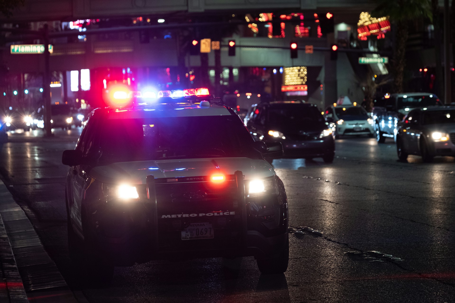 Forensics & Law Enforcement_image
